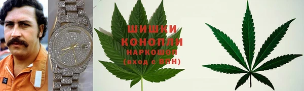 мдпв Нея