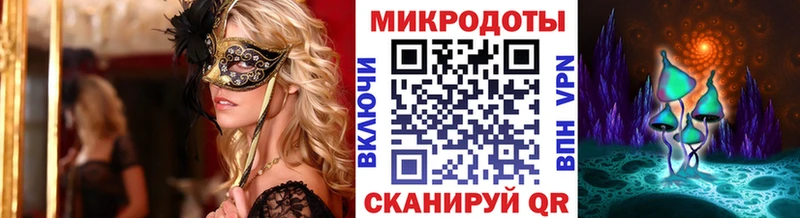 Псилоцибиновые грибы Psilocybe  Петров Вал 